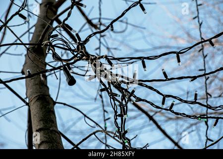 Vorbereitung auf das neue Jahr. Girlanden mit Blumenzwiebeln auf den Bäumen der Straßen der Stadt. Stockfoto