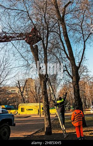 Stadtarbeiter auf einem LKW-Kran installieren und schmücken Bäume in den Parks der Stadt mit Weihnachtslichtern. Arbeit in großer Höhe. Stockfoto