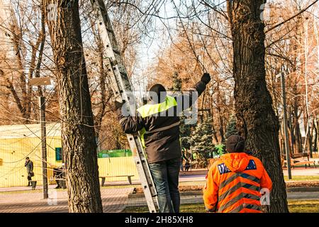 Stadtarbeiter auf einem LKW-Kran installieren und schmücken Bäume in den Parks der Stadt mit Weihnachtslichtern. Arbeit in großer Höhe. Stockfoto