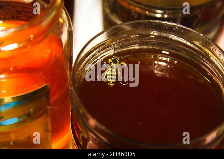 Eine Nahaufnahme einer Flasche und einem Glas Bier. Hochwertige Fotos Stockfoto