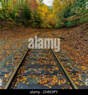 Railroad Tracks Reisen durch die Appalachian Mountains im Herbst, New River Gorge National Park, West Virginia, USA Stockfoto