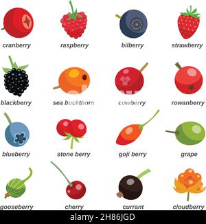 Beeren farbige Symbole mit Inschrift einschließlich Johannisbeere Traube Kirsche gesetzt Cranberry Goji Beere isoliert flache Vektor-Illustration Stock Vektor