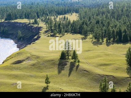 Blick von oben auf die Straße zwischen der Taiga entlang des Bergflusses. Plüsch-Oberfläche aus Hochplateau und Lärche. Stockfoto