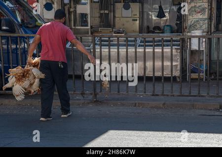 Amman, Jordanien - Oktober 06 2021: Markt in der Innenstadt in der Hauptstadt Amman, Mann, der Geflügelhuhn auf dem Feuchtmarkt trägt Stockfoto