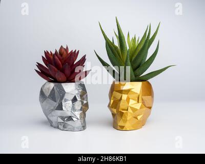 Gold und Silber Farbe Schädel Form Pflanzentöpfe mit roten und grünen saftigen Pflanzen isoliert auf weißem Hintergrund. Kleiner moderner DIY Zementsättel trendy Stockfoto