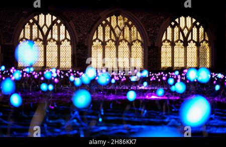 Im Kreuzgang der Chichester Cathedral werden 1.000 Leuchtenstämme mit wechselnden Farben als Teil einer immersiven Kunstinstallation des britischen Künstlers Bruce Munro mit dem Titel „Field of Blooms“ ausgestellt. Bilddatum: Samstag, 27. November 2021. Stockfoto