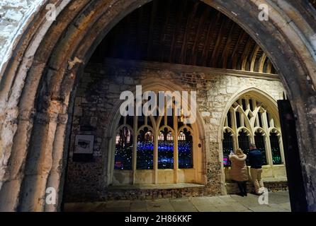 Im Kreuzgang der Chichester Cathedral werden 1.000 Leuchtenstämme mit wechselnden Farben als Teil einer immersiven Kunstinstallation des britischen Künstlers Bruce Munro mit dem Titel „Field of Blooms“ ausgestellt. Bilddatum: Samstag, 27. November 2021. Stockfoto