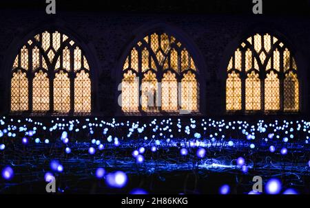 Im Kreuzgang der Chichester Cathedral werden 1.000 Leuchtenstämme mit wechselnden Farben als Teil einer immersiven Kunstinstallation des britischen Künstlers Bruce Munro mit dem Titel „Field of Blooms“ ausgestellt. Bilddatum: Samstag, 27. November 2021. Stockfoto