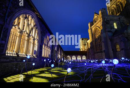 Im Kreuzgang der Chichester Cathedral werden 1.000 Leuchtenstämme mit wechselnden Farben als Teil einer immersiven Kunstinstallation des britischen Künstlers Bruce Munro mit dem Titel „Field of Blooms“ ausgestellt. Bilddatum: Samstag, 27. November 2021. Stockfoto