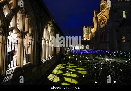 Im Kreuzgang der Chichester Cathedral werden 1.000 Leuchtenstämme mit wechselnden Farben als Teil einer immersiven Kunstinstallation des britischen Künstlers Bruce Munro mit dem Titel „Field of Blooms“ ausgestellt. Bilddatum: Samstag, 27. November 2021. Stockfoto