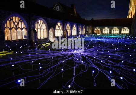 Im Kreuzgang der Chichester Cathedral werden 1.000 Leuchtenstämme mit wechselnden Farben als Teil einer immersiven Kunstinstallation des britischen Künstlers Bruce Munro mit dem Titel „Field of Blooms“ ausgestellt. Bilddatum: Samstag, 27. November 2021. Stockfoto