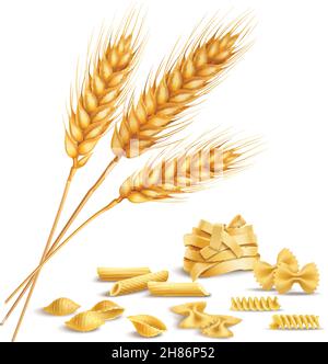 Realistische reife Weizenspikelets und Pasta einschließlich Fusilli, Farfalle, Penne Zusammensetzung auf weißem Hintergrund Vektor-Illustration Stock Vektor