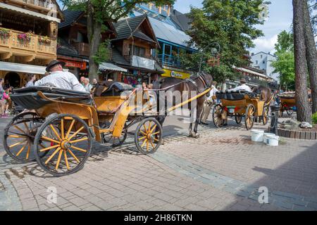 Zakopane, Polen - 6. August 2019 : Pferdekutsche wartet im Sommer auf die Touristen auf der Krupowki Straße in Zakopane. Gespannte Pferde. Touris Stockfoto