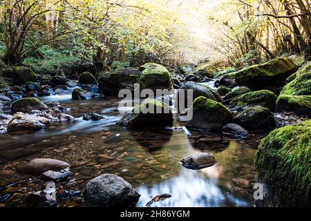 Natürliche Landschaft eines Flusses auf der Alba-Route im rat von Sobrescobio, Asturien.Foto im horizontalen Format mit dem seidigen Wasser effe aufgenommen Stockfoto