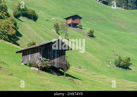 Landwirtschaftlichen Schuppen auf der Bergseite. Im Stubaital, Tirol, Österreich fotografiert. Stockfoto