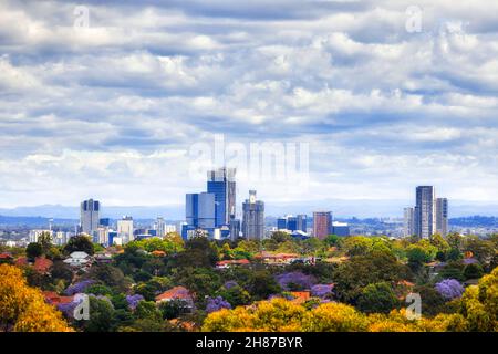 Baumkronen von grünen Wohnvororten im Westen Sydneys rund um Parramatta CBD an einem bewölkten Frühlingstag sind Hochhäuser. Stockfoto