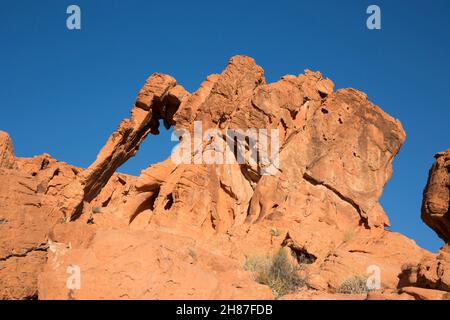 Valley of Fire State Park, Nevada, USA. Elephant Rock, ein legendärer Sandsteinausschnitt, der einen natürlichen Bogen bildet und von strahlendem Sonnenschein am frühen Morgen erleuchtet wird. Stockfoto