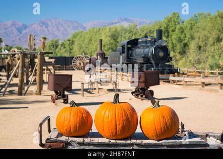 Furnace Creek, Death Valley National Park, Kalifornien, USA. Kürbisse im Borax Museum, historische Bergbauausstellungen im Hintergrund. Stockfoto