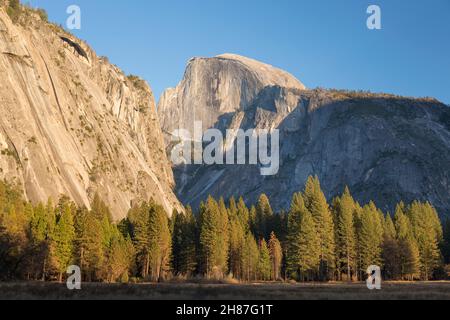 Yosemite-Nationalpark, Kalifornien, USA. Blick bei Sonnenuntergang über Kiefernwäldern auf die majestätische Nordwestwand des Half Dome im Herbst. Stockfoto