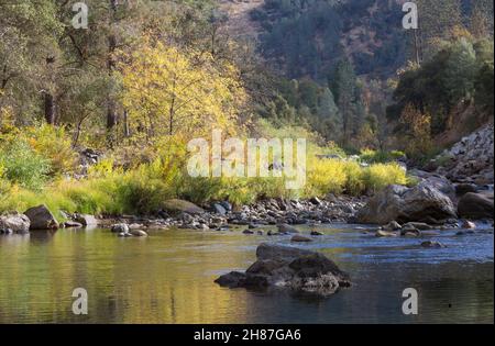 El Portal, Kalifornien, USA. Blick über die ruhigen Gewässer des Merced River flussabwärts des Yosemite National Park, Herbst. Stockfoto