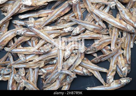 Nahaufnahme von getrocknetem Fisch auf blauem Hintergrund Stockfoto