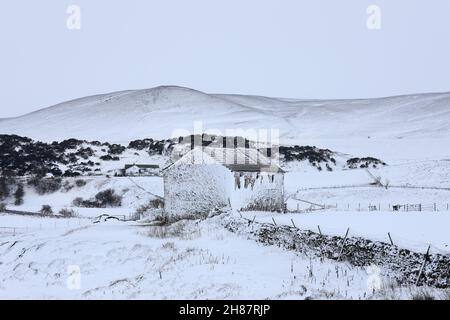 Teesdale, County Durham, Großbritannien. 28th. November 2021. Wetter in Großbritannien. Während die Winde nach dem Sturm Arwen nachgelassen haben, sind viele Häuser und entlegene Farmen noch immer ohne Strom, da die Temperaturen und der Schneefall in Upper Teesdale, County Durham, heute Morgen andauern. Kredit: David Forster/Alamy Live Nachrichten Stockfoto