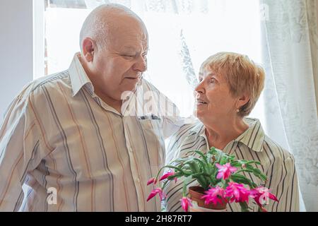 Ältere weißhaarige kaukasische Mann großen Körperbau und ältere Dame blonde Haare schauen einander verliebt in Zimmer in der Nähe Fenster. Blühende Pflanze Stockfoto
