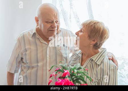 Ältere weißhaarige kaukasische Mann großen Körperbau und ältere Dame blonde Haare schauen einander verliebt in Zimmer in der Nähe Fenster. Blühende Pflanze Stockfoto