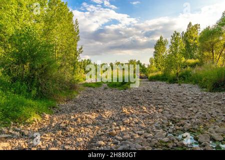 Eine Landschaft mit Steinen und wachsenden Bäumen unter dem wolkigen Himmel Stockfoto