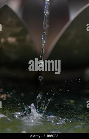 Eine vertikale Aufnahme von Wassertropfen Stockfoto