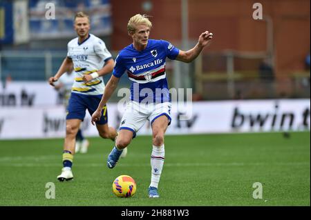 Morten Thorsby von UC Sampdoria in Aktion während des Spiels der Serie A 2021/22 zwischen UC Sampdoria und dem FC Hellas Verona am 27. November im Ferraris Stadium Stockfoto