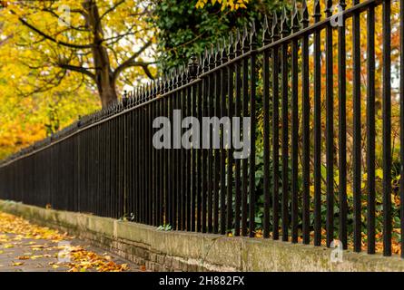 Dekorativer Metallzaun mit sich ändernden Baumblättern im Herbst. Stockfoto