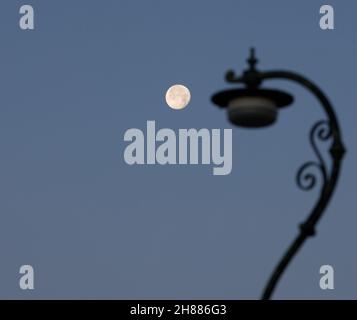 Vollmond vom 2021. November, gesehen neben einer Straßenlaterne im Morgengrauen. Stockfoto