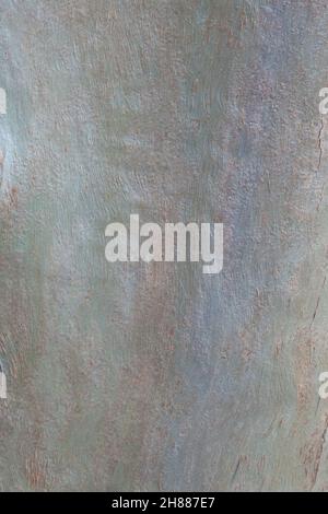 Natürliche graue Holzbaum Stamm Hintergrund vertikales Bild Stockfoto