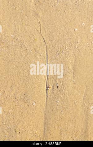 Kleine Sandkörner am Strand, bunter Hintergrund Stockfoto