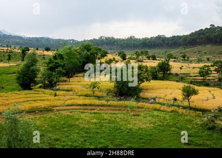 Verschiedene Ansichten von Palampur, Himachal Stockfoto