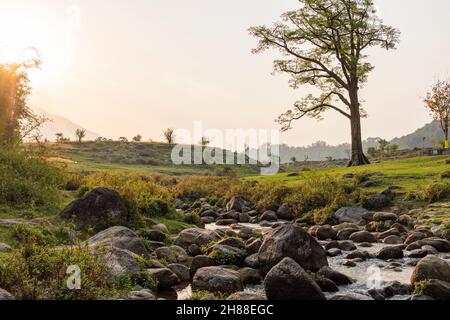 Verschiedene Ansichten von Palampur, Himachal Stockfoto