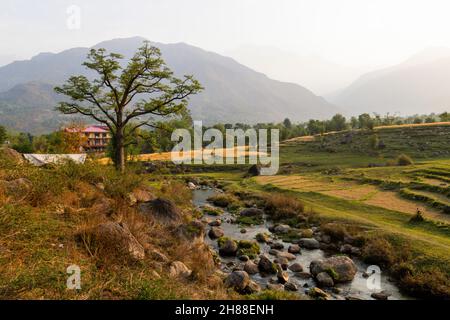 Verschiedene Ansichten von Palampur, Himachal Stockfoto