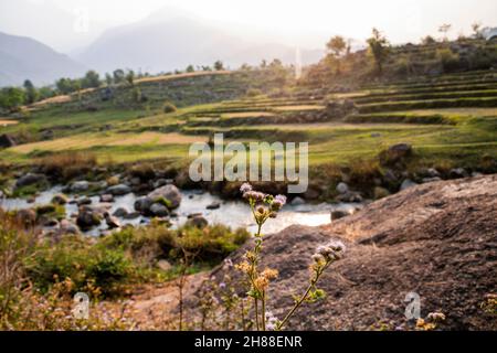 Verschiedene Ansichten von Palampur, Himachal Stockfoto