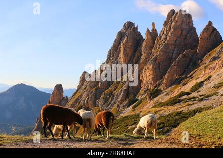 Dolomiten, Dolomiti, Trentino, Südtirol, Italien, Berge mit Hafen am Alpenpass Grödnerjoch Stockfoto