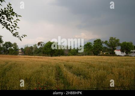 Verschiedene Ansichten von Palampur, Himachal Stockfoto