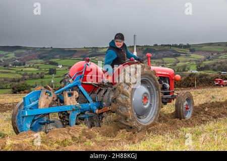 Cahermore, West Cork, Irland. 28th. November 2021. Vinny Bennett aus Rossmore nimmt am Spiel der Cork West Pflügen-Vereinigung auf dem Land von Geoffery Wycherley, Cahermore, West Cork, Irland, Teil. - Credit: David Creedon/Alamy Live News Stockfoto