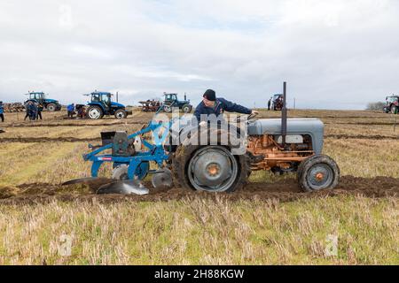 Cahermore, West Cork, Irland. 28th. November 2021. Denis Cummings aus Bandon mit seinem Fergusion 35 1956, der am Spiel der Cork West Pflügen Association im Land von Geoffery Wycherley, Cahermore, West Cork, Irland, teilnahm. - Credit: David Creedon/Alamy Live News Stockfoto