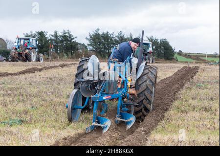 Cahermore, West Cork, Irland. 28th. November 2021. Denis Cummings aus Bandon mit seinem Fergusion 35 1956, der am Spiel der Cork West Pflügen Association im Land von Geoffery Wycherley, Cahermore, West Cork, Irland, teilnahm. - Credit: David Creedon/Alamy Live News Stockfoto