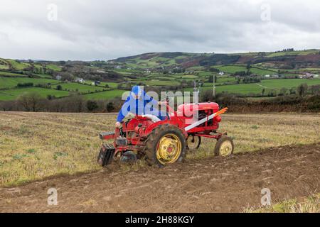 Cahermore, West Cork, Irland. 28th. November 2021. Gordon Jenkins aus Clonakilty auf seinem 1952 Massey Harris Pony, das am Spiel der Cork West Plought Association im Land von Geoffery Wycherley, Cahermore, West Cork, Irland, teilnimmt. - Credit: David Creedon/Alamy Live News Stockfoto