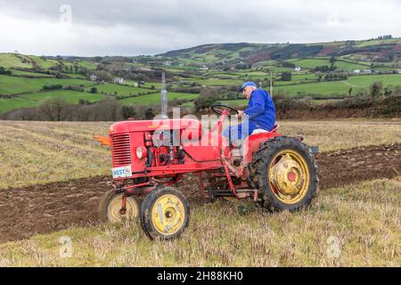 Cahermore, West Cork, Irland. 28th. November 2021. Gordon Jenkins aus Clonakilty auf seinem 1952 Massey Harris Pony, das am Spiel der Cork West Plought Association im Land von Geoffery Wycherley, Cahermore, West Cork, Irland, teilnimmt. - Credit: David Creedon/Alamy Live News Stockfoto