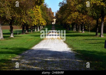 Die Allee, die zum Haus führt, wird von einer doppelten Reihe von Bäumen flankiert, die vom weidenden Licht des Herbstes beleuchtet werden Stockfoto