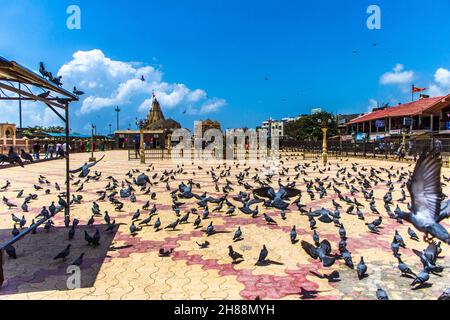 Somnath Tempel in Gujarat an einem sonnigen Tag Stockfoto