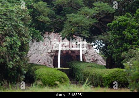 Ein schintoistischer Schrein, der dem Stumpf des Wilson (Reste einer riesigen Yakusugi-Zeder) gewidmet ist, der als Nachbildung des Baumstumpens gebildet wird, Yakushima, Japan Stockfoto