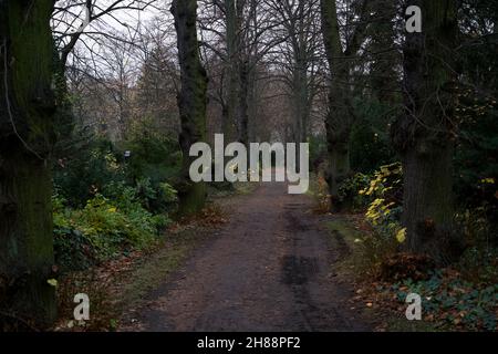 Fußweg durch Bäume und Sträucher auf dem Friedhof Alter Luisenstadt Kirchhof in Berlin, Kreuzberg an einem bewölkten Wintertag. Stockfoto